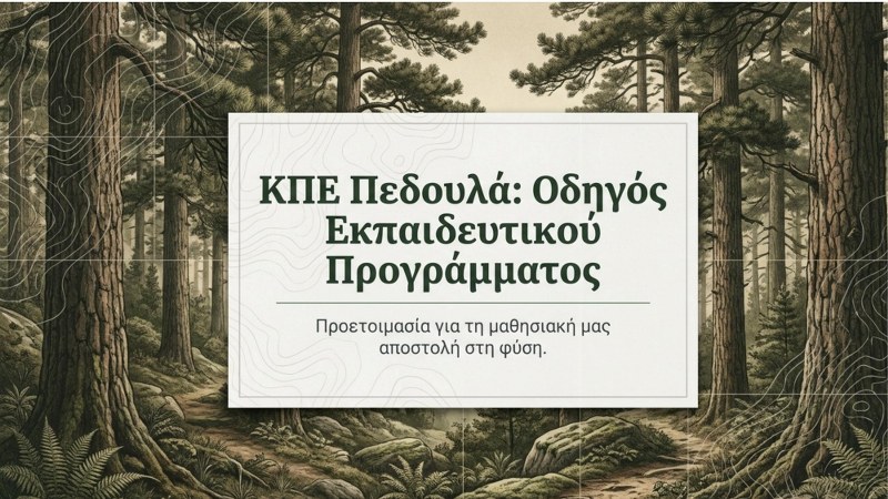 Διαφάνεια 1